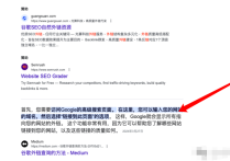 免費用ai內(nèi)容做谷歌SEO排名怎么做呢？