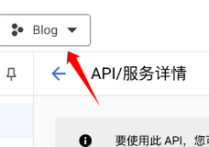 谷歌站點API推送怎么設置的呢？