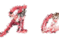 參加展會的人員怎么稱呼呢？常用會展英語詞匯