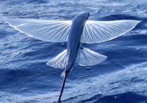 寫一篇優質內容如何提升谷歌SEO優化排名呢？