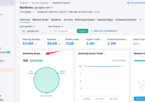 谷歌SEO的域名權重主要概念是什么？