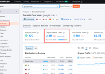 谷歌SEO一年后能保證做到什么效果？