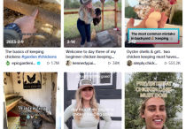 高質(zhì)量AI圖片的方法是什么？