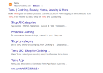 TEMU對電商獨立站的影響有哪些？